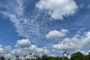 上海新增本土无症状5例〃上海新增本土确诊5例