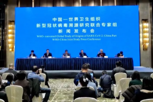 2019年新型肺炎爆发︰(2019年新型冠状病毒爆发)