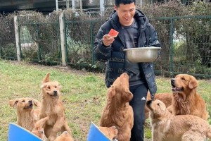 大连一家11口确诊〃大连一家十一口人感染