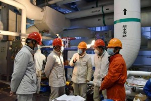 「青岛新冠」〃青岛新冠洋食品有限公司